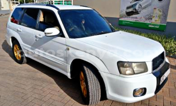 Buy Used Subaru Forester White Car in Nairobi in Nairobi