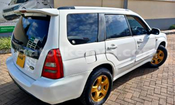 Buy Used Subaru Forester White Car in Nairobi in Nairobi Buy Used Subaru Forester White Car in Nairobi in Nairobi