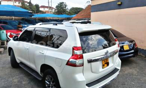 Buy Used Toyota Land Cruiser Prado White Car in Nairobi in Nairobi Buy Used Toyota Land Cruiser Prado White Car in Nairobi in Nairobi