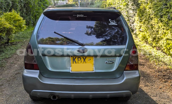Buy Used Subaru Forester Silver Car in Nairobi in Nairobi Buy Used Subaru Forester Silver Car in Nairobi in Nairobi