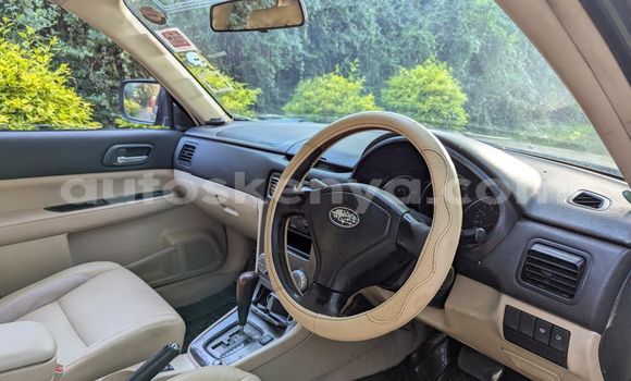 Buy Used Subaru Forester Silver Car in Nairobi in Nairobi Buy Used Subaru Forester Silver Car in Nairobi in Nairobi