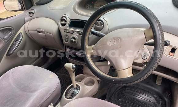 Buy Used Toyota Platz Blue Car in Nairobi in Nairobi Buy Used Toyota Platz Blue Car in Nairobi in Nairobi