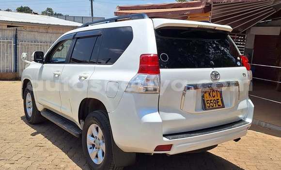 Buy Used Toyota Prado White Car in Nairobi in Nairobi Buy Used Toyota Prado White Car in Nairobi in Nairobi