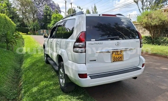Oofamaa Toyota Prado White Makiinaa iti Bute keessatti Northeast Kenya keessatti Oofamaa Toyota Prado White Makiinaa iti Bute keessatti Northeast Kenya keessatti