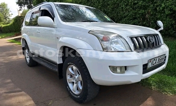 Oofamaa Toyota Prado White Makiinaa iti Bute keessatti Northeast Kenya keessatti Oofamaa Toyota Prado White Makiinaa iti Bute keessatti Northeast Kenya keessatti