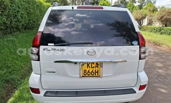 Oofamaa Toyota Prado White Makiinaa iti Bute keessatti Northeast Kenya keessatti Oofamaa Toyota Prado White Makiinaa iti Bute keessatti Northeast Kenya keessatti