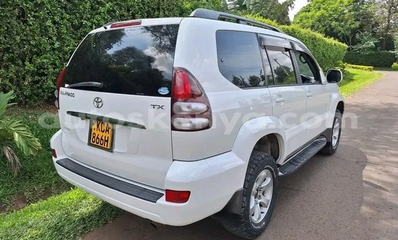 Oofamaa Toyota Prado White Makiinaa iti Bute keessatti Northeast Kenya keessatti Oofamaa Toyota Prado White Makiinaa iti Bute keessatti Northeast Kenya keessatti