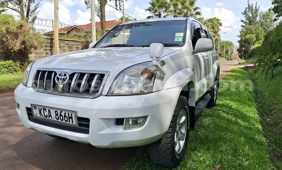 Oofamaa Toyota Prado White Makiinaa iti Bute keessatti Northeast Kenya keessatti Oofamaa Toyota Prado White Makiinaa iti Bute keessatti Northeast Kenya keessatti