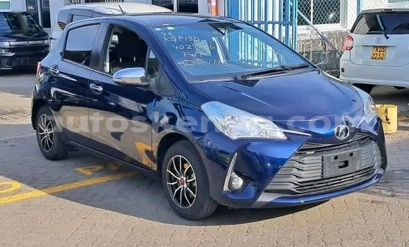 Oofamaa Toyota Vitz Other Makiinaa iti Bute keessatti Northeast Kenya keessatti Oofamaa Toyota Vitz Other Makiinaa iti Bute keessatti Northeast Kenya keessatti