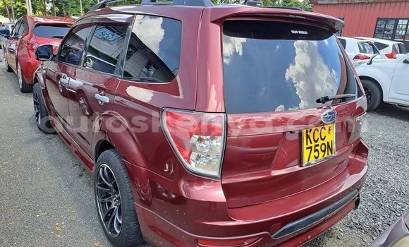 Oofamaa Subaru XT Other Makiinaa iti Nairobi keessatti Nairobi keessatti Oofamaa Subaru XT Other Makiinaa iti Nairobi keessatti Nairobi keessatti
