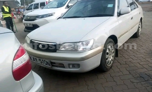 Oofamaa Toyota Premio White Makiinaa iti Bute keessatti Northeast Kenya keessatti Oofamaa Toyota Premio White Makiinaa iti Bute keessatti Northeast Kenya keessatti