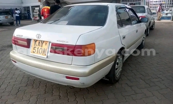 Oofamaa Toyota Premio White Makiinaa iti Bute keessatti Northeast Kenya keessatti Oofamaa Toyota Premio White Makiinaa iti Bute keessatti Northeast Kenya keessatti