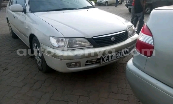 Oofamaa Toyota Premio White Makiinaa iti Bute keessatti Northeast Kenya keessatti Oofamaa Toyota Premio White Makiinaa iti Bute keessatti Northeast Kenya keessatti