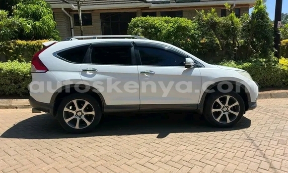 Oofamaa Honda CRâV White Makiinaa iti Bute keessatti Northeast Kenya keessatti Oofamaa Honda CRâV White Makiinaa iti Bute keessatti Northeast Kenya keessatti