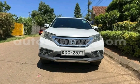 Oofamaa Honda CRâV White Makiinaa iti Bute keessatti Northeast Kenya keessatti Oofamaa Honda CRâV White Makiinaa iti Bute keessatti Northeast Kenya keessatti