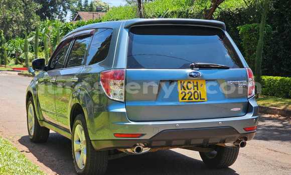 Buy Used Subaru Forester Other Car in Nairobi in Nairobi Buy Used Subaru Forester Other Car in Nairobi in Nairobi
