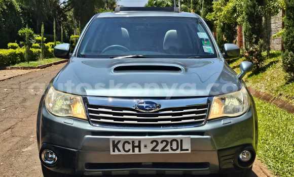 Buy Used Subaru Forester Other Car in Nairobi in Nairobi Buy Used Subaru Forester Other Car in Nairobi in Nairobi