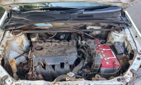 Oofamaa Toyota Probox Other Makiinaa iti Nairobi keessatti Nairobi keessatti Oofamaa Toyota Probox Other Makiinaa iti Nairobi keessatti Nairobi keessatti