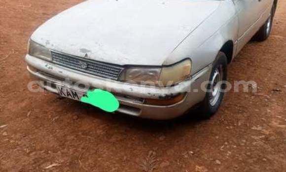 Oofamaa Toyota 2000GT Other Makiinaa iti Nairobi keessatti Nairobi keessatti Oofamaa Toyota 2000GT Other Makiinaa iti Nairobi keessatti Nairobi keessatti