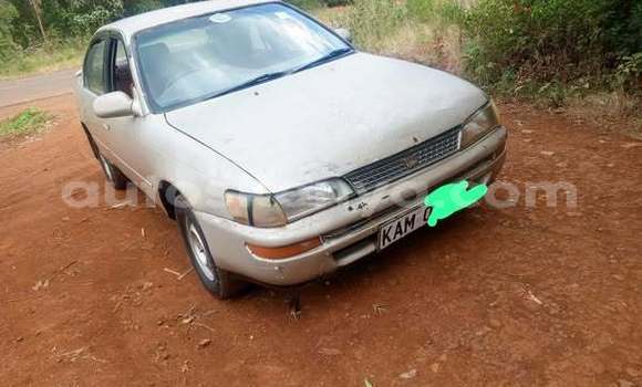 Oofamaa Toyota 2000GT Other Makiinaa iti Nairobi keessatti Nairobi keessatti Oofamaa Toyota 2000GT Other Makiinaa iti Nairobi keessatti Nairobi keessatti