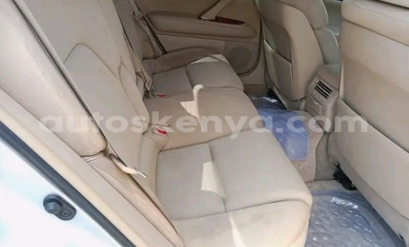 Oofamaa Toyota Mark X Other Makiinaa iti Bute keessatti Northeast Kenya keessatti Oofamaa Toyota Mark X Other Makiinaa iti Bute keessatti Northeast Kenya keessatti