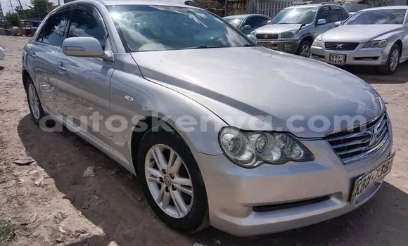 Oofamaa Toyota Mark X Other Makiinaa iti Bute keessatti Northeast Kenya keessatti Oofamaa Toyota Mark X Other Makiinaa iti Bute keessatti Northeast Kenya keessatti