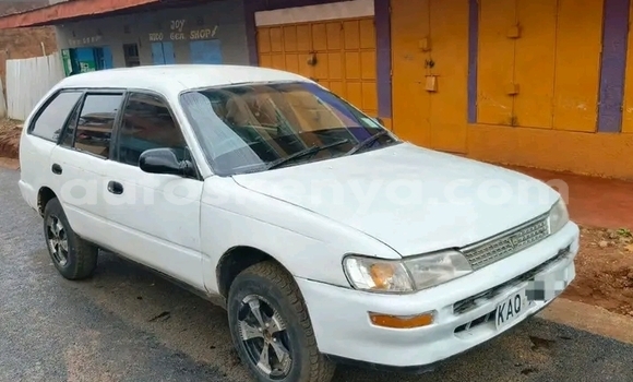 Oofamaa Toyota Dyna White Makiinaa iti Changamwe keessatti Coast keessatti Oofamaa Toyota Dyna White Makiinaa iti Changamwe keessatti Coast keessatti