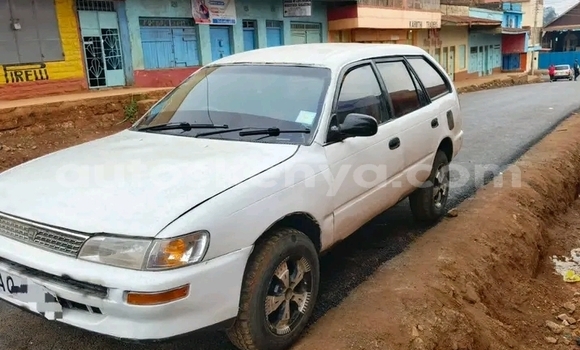 Oofamaa Toyota Dyna White Makiinaa iti Changamwe keessatti Coast keessatti Oofamaa Toyota Dyna White Makiinaa iti Changamwe keessatti Coast keessatti