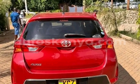 Buy Used Toyota Auris Red Car in Bute in Northeast Kenya Buy Used Toyota Auris Red Car in Bute in Northeast Kenya