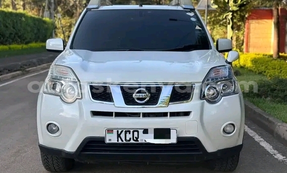 Oofamaa Nissan X–Trail White Makiinaa iti Griftu keessatti Northeast Kenya keessatti Oofamaa Nissan X–Trail White Makiinaa iti Griftu keessatti Northeast Kenya keessatti