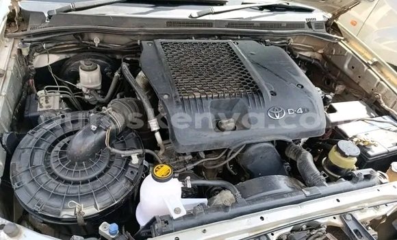 Oofamaa Toyota Hilux White Makiinaa iti Bute keessatti Northeast Kenya keessatti Oofamaa Toyota Hilux White Makiinaa iti Bute keessatti Northeast Kenya keessatti