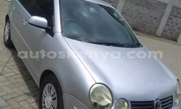 Oofamaa Volkswagen Polo Other Makiinaa iti Bute keessatti Northeast Kenya keessatti Oofamaa Volkswagen Polo Other Makiinaa iti Bute keessatti Northeast Kenya keessatti