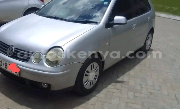 Oofamaa Volkswagen Polo Other Makiinaa iti Bute keessatti Northeast Kenya keessatti Oofamaa Volkswagen Polo Other Makiinaa iti Bute keessatti Northeast Kenya keessatti