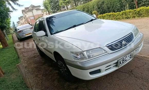 Oofamaa Toyota Premio White Makiinaa iti Changamwe keessatti Coast keessatti Oofamaa Toyota Premio White Makiinaa iti Changamwe keessatti Coast keessatti