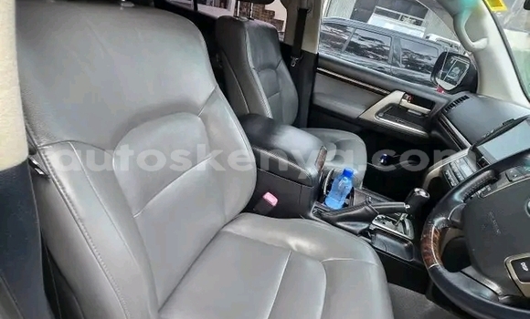 Oofamaa Toyota Land Cruiser Other Makiinaa iti Bute keessatti Northeast Kenya keessatti Oofamaa Toyota Land Cruiser Other Makiinaa iti Bute keessatti Northeast Kenya keessatti