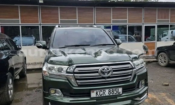 Oofamaa Toyota Land Cruiser Other Makiinaa iti Bute keessatti Northeast Kenya keessatti Oofamaa Toyota Land Cruiser Other Makiinaa iti Bute keessatti Northeast Kenya keessatti