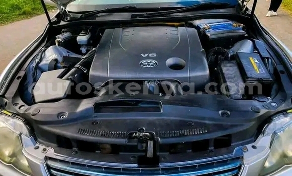 Buy Used Toyota Mark X Other Car in Bute in Northeast Kenya Buy Used Toyota Mark X Other Car in Bute in Northeast Kenya