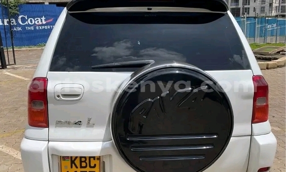 Buy Used Toyota RAV4 White Car in Bute in Northeast Kenya Buy Used Toyota RAV4 White Car in Bute in Northeast Kenya