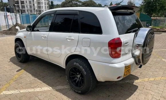 Buy Used Toyota RAV4 White Car in Bute in Northeast Kenya Buy Used Toyota RAV4 White Car in Bute in Northeast Kenya