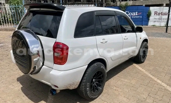 Buy Used Toyota RAV4 White Car in Bute in Northeast Kenya Buy Used Toyota RAV4 White Car in Bute in Northeast Kenya