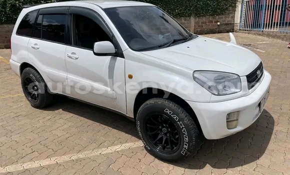 Buy Used Toyota RAV4 White Car in Bute in Northeast Kenya Buy Used Toyota RAV4 White Car in Bute in Northeast Kenya