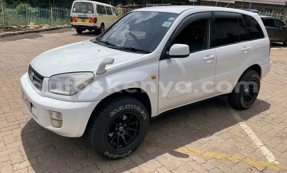 Buy Used Toyota RAV4 White Car in Bute in Northeast Kenya Buy Used Toyota RAV4 White Car in Bute in Northeast Kenya