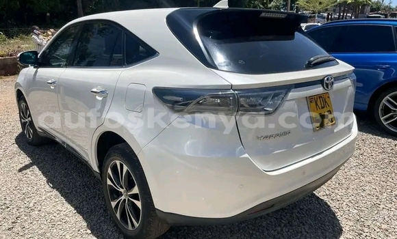 Oofamaa Toyota Harrier White Makiinaa iti Bute keessatti Northeast Kenya keessatti