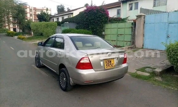 Buy Used Toyota Corolla Other Car in Bute in Northeast Kenya Buy Used Toyota Corolla Other Car in Bute in Northeast Kenya