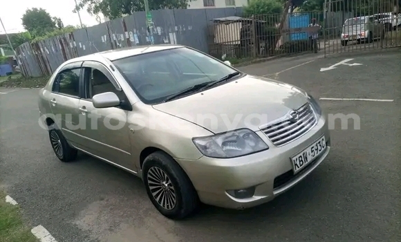 Buy Used Toyota Corolla Other Car in Bute in Northeast Kenya Buy Used Toyota Corolla Other Car in Bute in Northeast Kenya