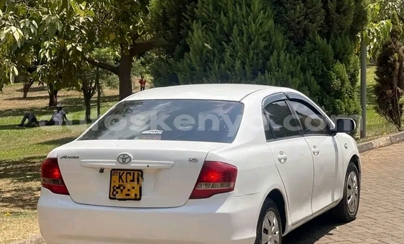 Oofamaa Toyota Axio White Makiinaa iti Bute keessatti Northeast Kenya keessatti Oofamaa Toyota Axio White Makiinaa iti Bute keessatti Northeast Kenya keessatti
