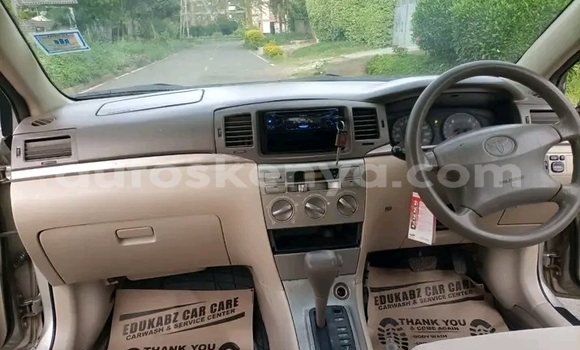 Oofamaa Toyota Corolla Other Makiinaa iti Bute keessatti Northeast Kenya keessatti Oofamaa Toyota Corolla Other Makiinaa iti Bute keessatti Northeast Kenya keessatti