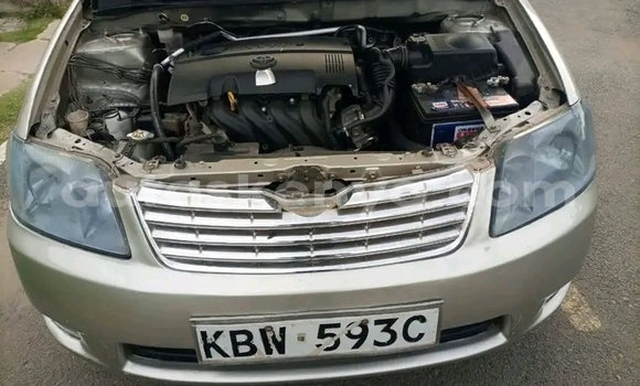 Oofamaa Toyota Corolla Other Makiinaa iti Bute keessatti Northeast Kenya keessatti Oofamaa Toyota Corolla Other Makiinaa iti Bute keessatti Northeast Kenya keessatti