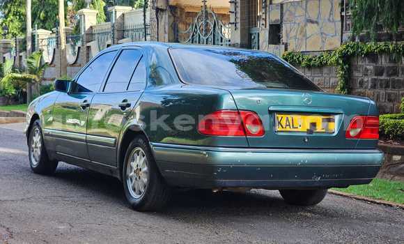Buy Used Mercedes-Benz E-Classe Green Car in Nairobi in Nairobi Buy Used Mercedes-Benz E-Classe Green Car in Nairobi in Nairobi