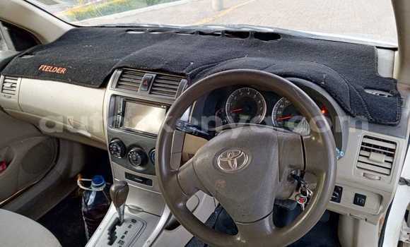 Buy Used Toyota Fielder White Car in Machakos in East Kenya Buy Used Toyota Fielder White Car in Machakos in East Kenya